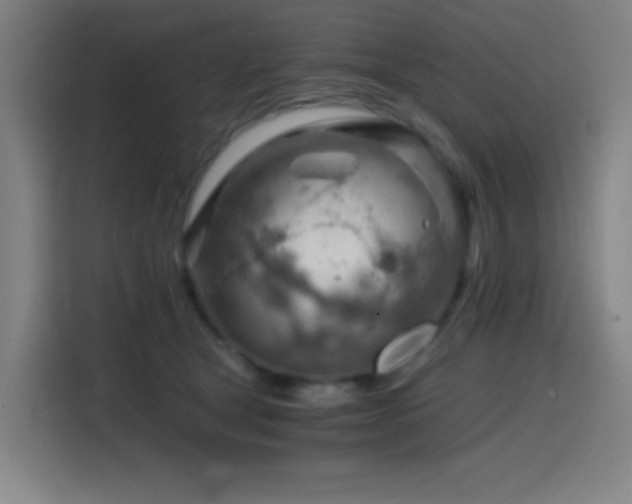 X0000114430465200910161338