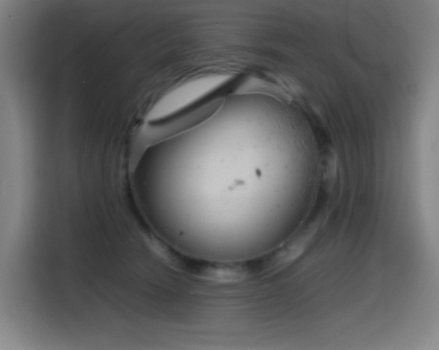 X0000114430466200910161338