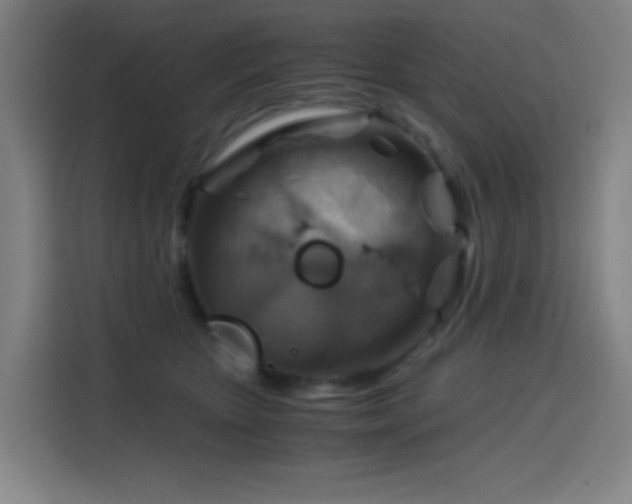 X0000114430467200910161339