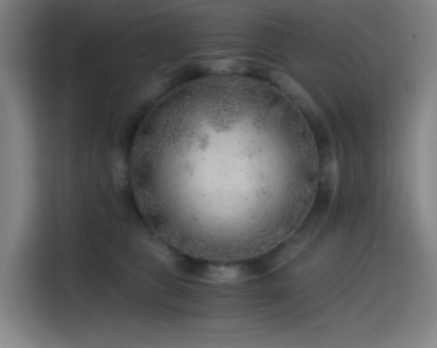 X0000114430469200910161339