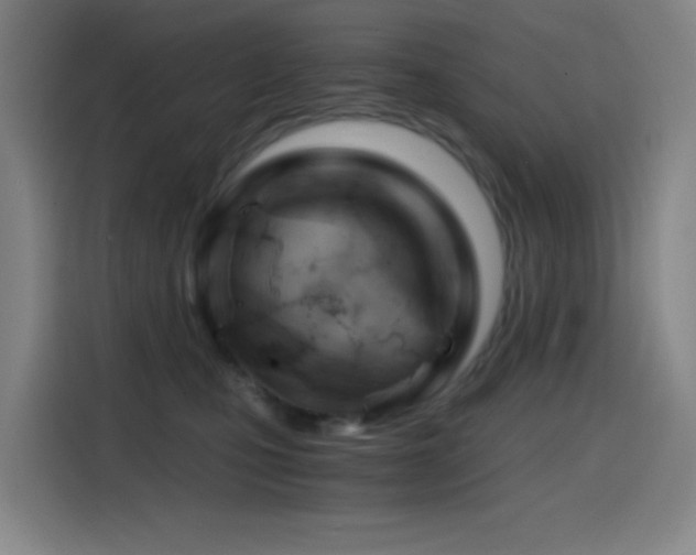 X0000114430471200910161339