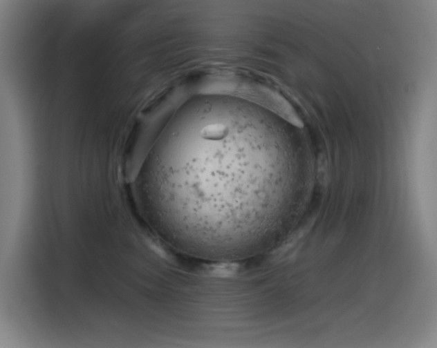 X0000114430474200910161339