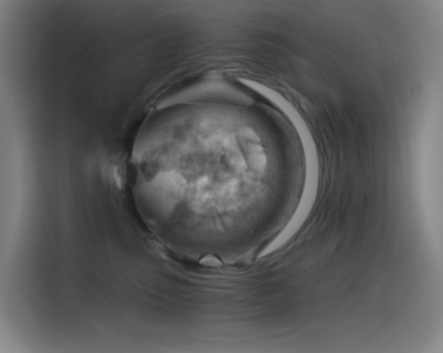 X0000114430475200910161339