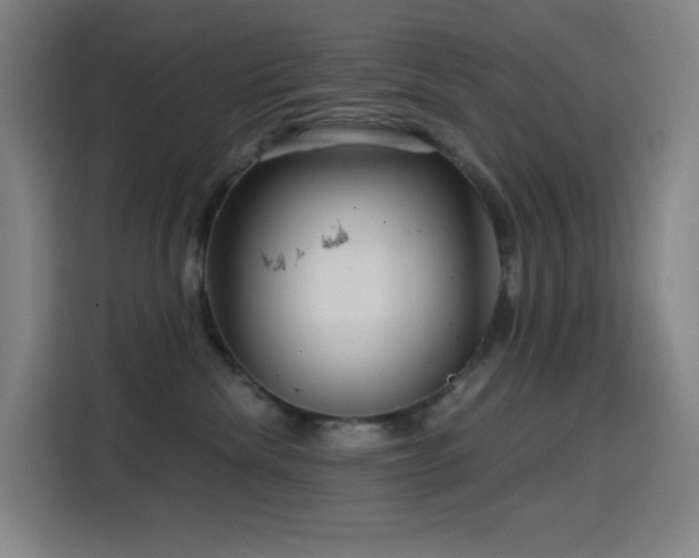 X0000114430476200910161339