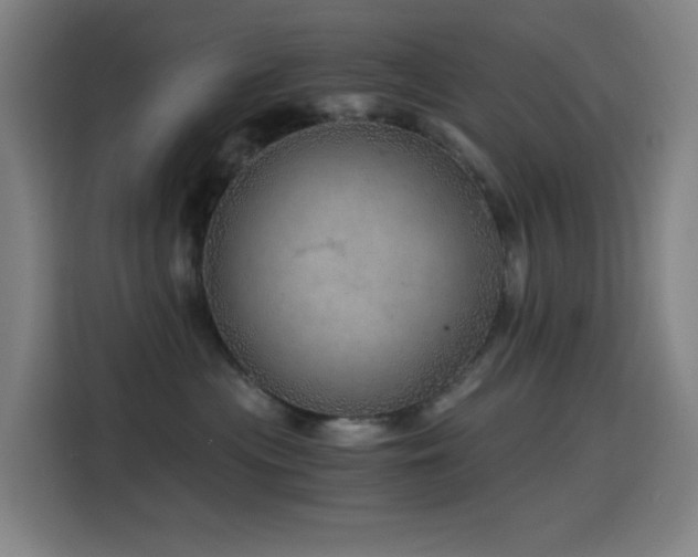 X0000114430477200910161339