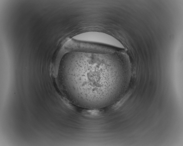 X0000114430478200910161339