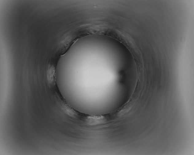 X0000114430480200910161339