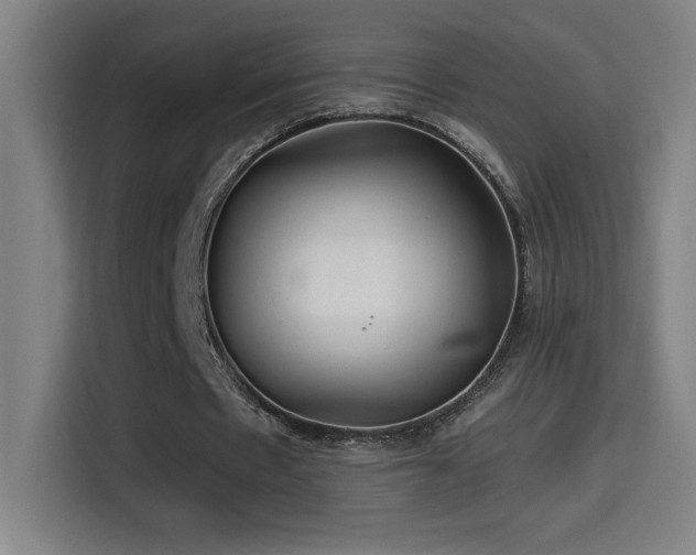 X0000114430481200910161338