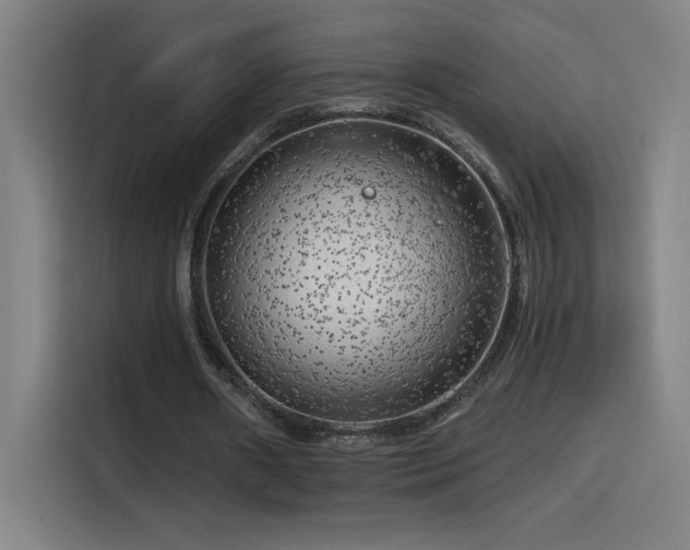 X0000114430482200910161338