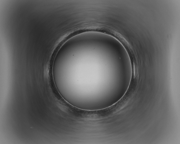 X0000114430483200910161338