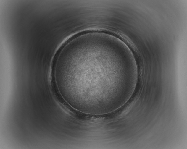 X0000114430484200910161338
