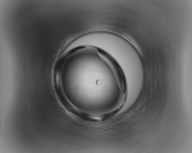 X0000114430485200910161338