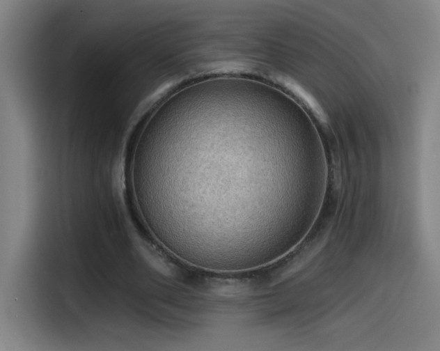 X0000114430486200910161338