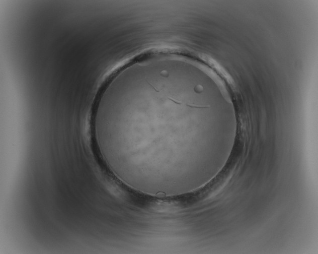 X0000114430487200910161338