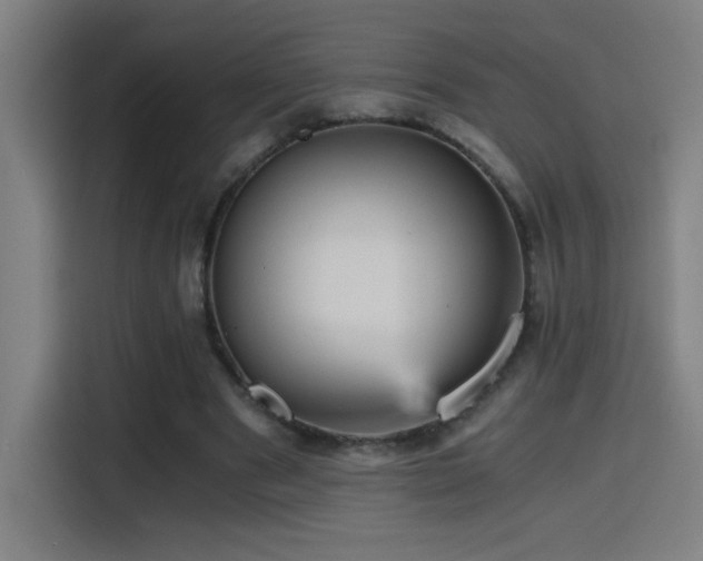 X0000114430489200910161338
