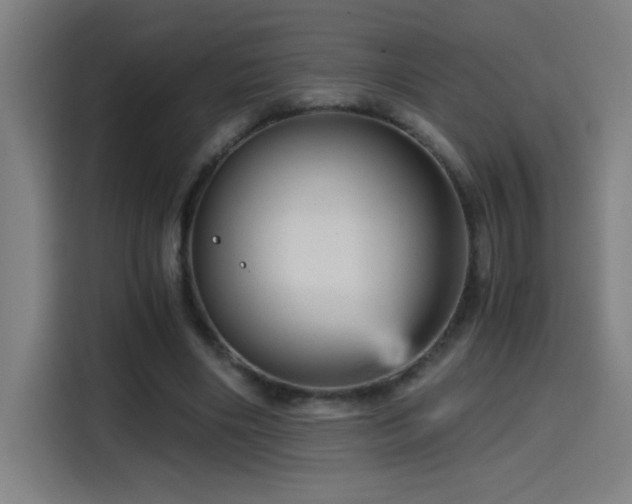 X0000114430490200910161338