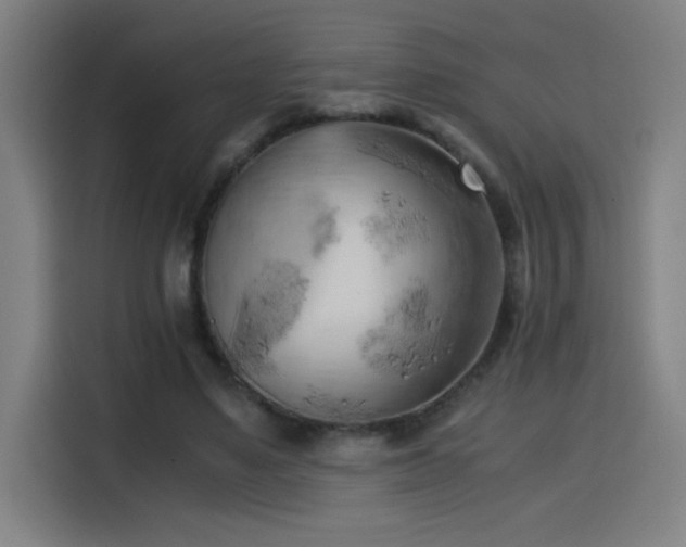 X0000114430491200910161338