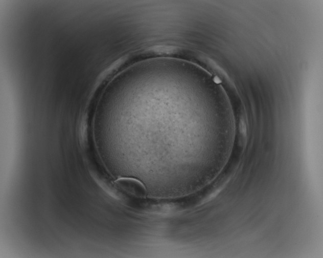 X0000114430492200910161338