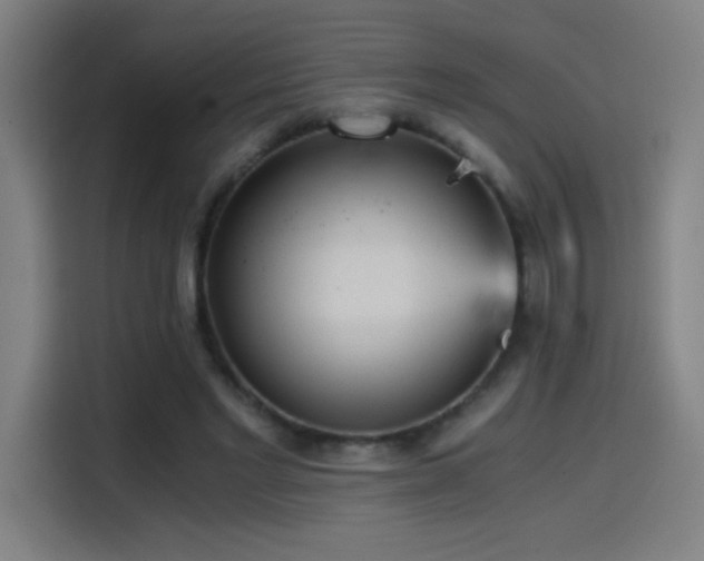 X0000114430493200910161338