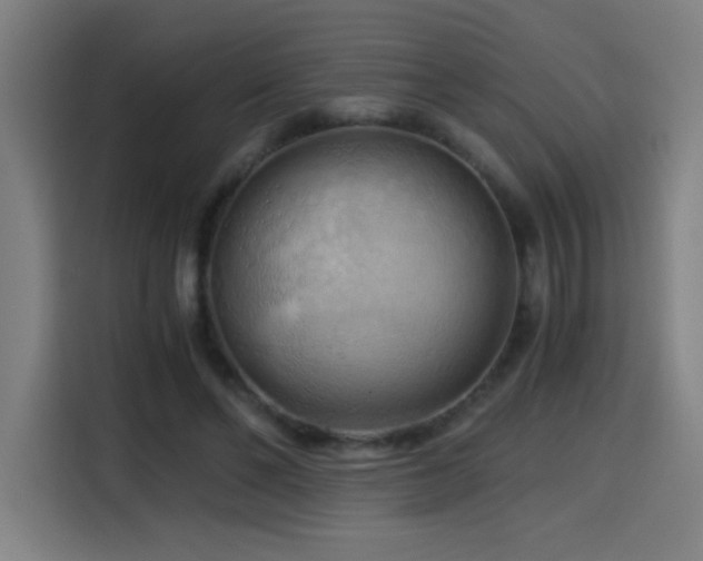 X0000114430494200910161338