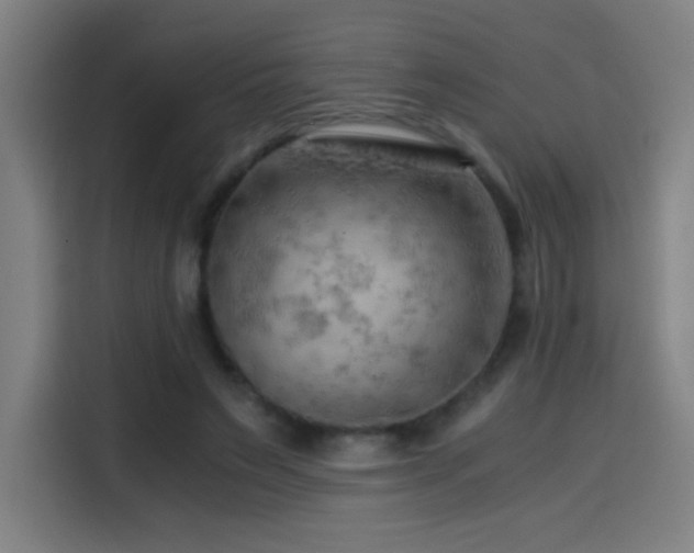 X0000114430495200910161338