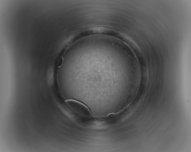 X0000114430496200910161338
