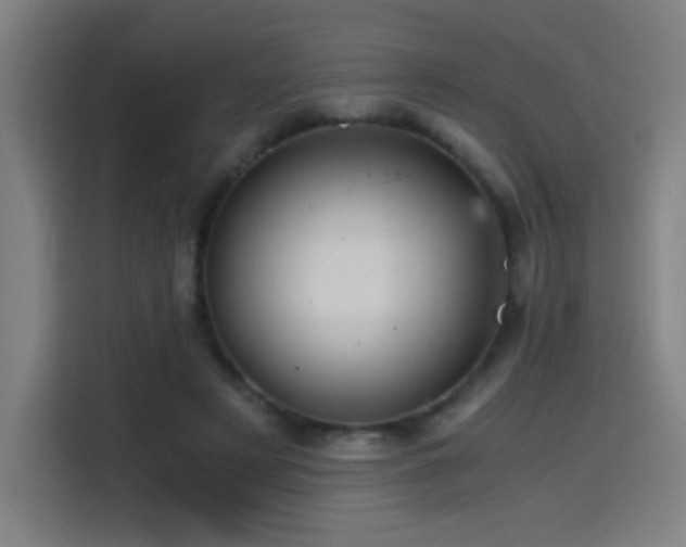 X0000114430497200910161338
