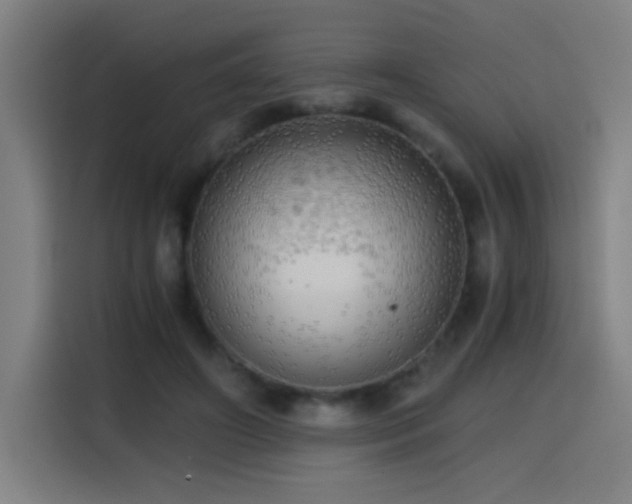 X0000114430498200910161338