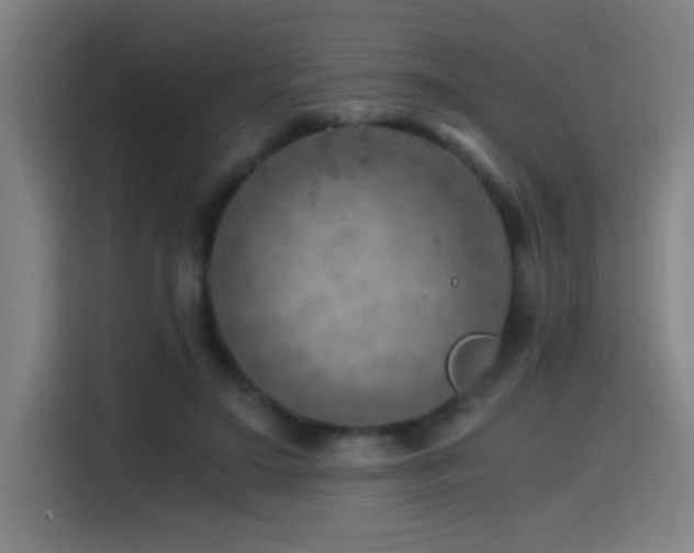 X0000114430499200910161338