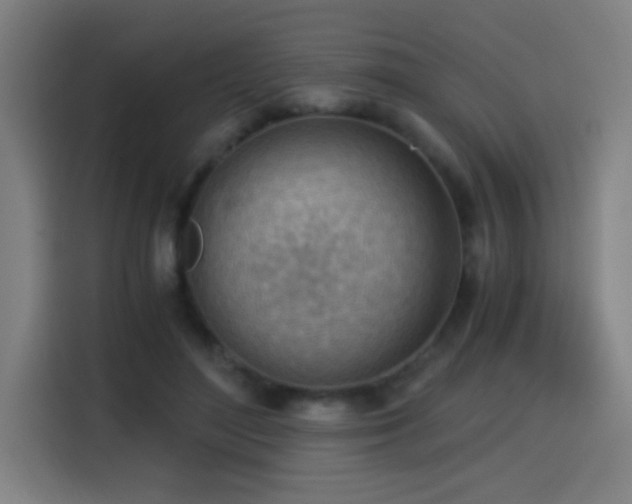 X0000114430500200910161338