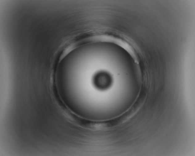X0000114430501200910161338