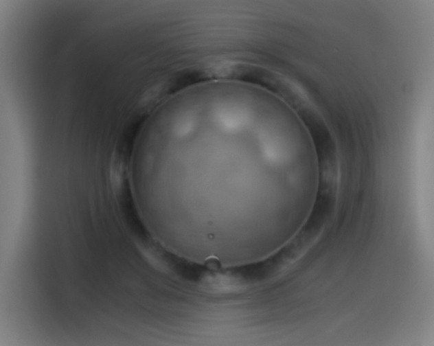 X0000114430503200910161338