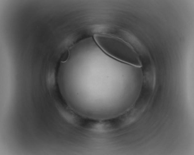 X0000114430504200910161338