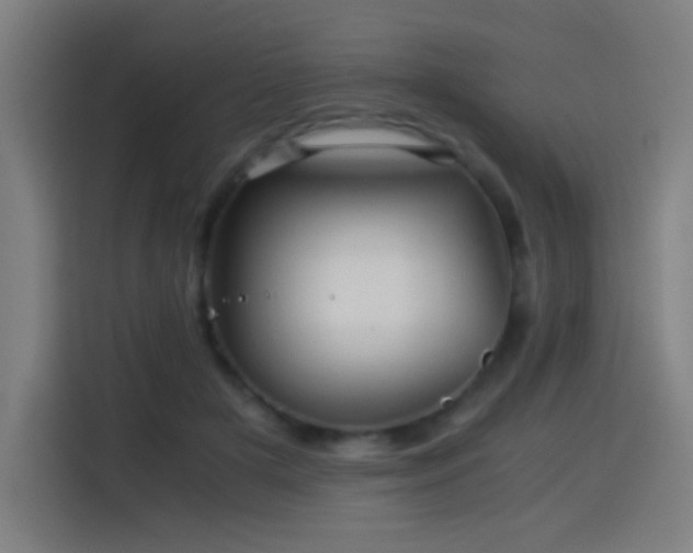 X0000114430505200910161338