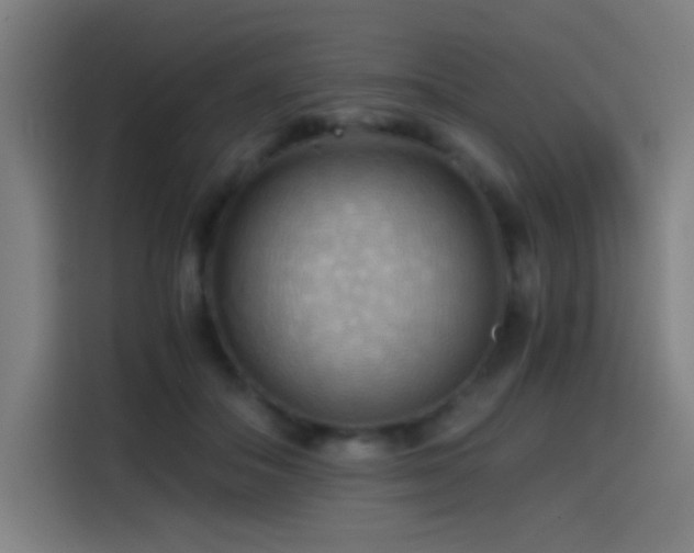 X0000114430506200910161338