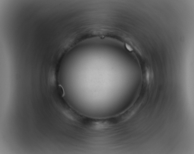 X0000114430508200910161338