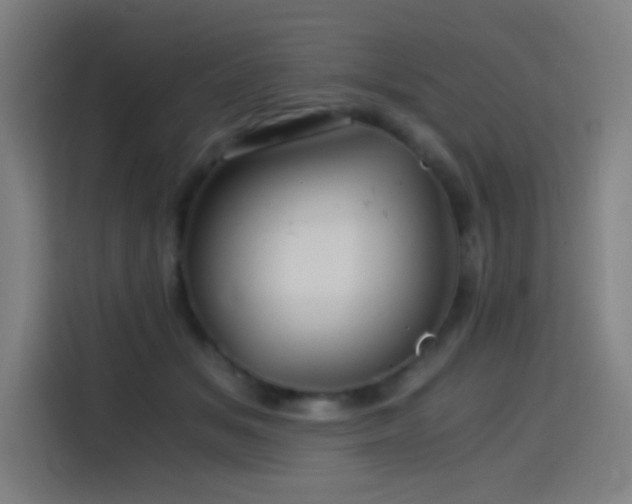 X0000114430509200910161338