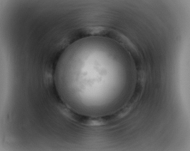 X0000114430510200910161338