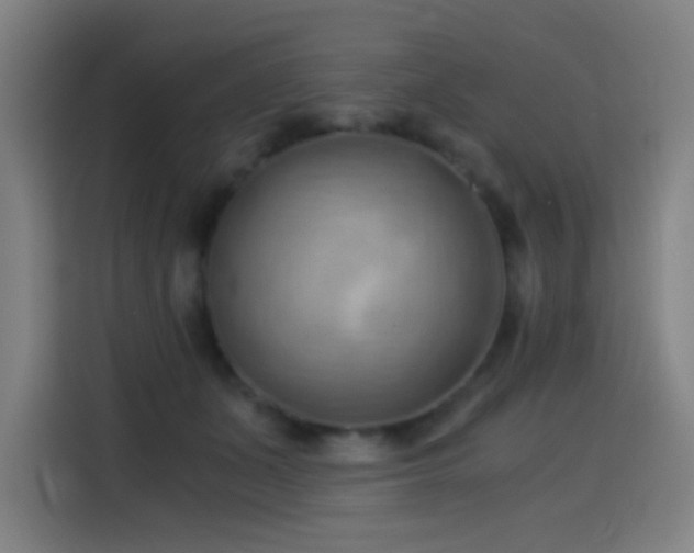 X0000114430511200910161338