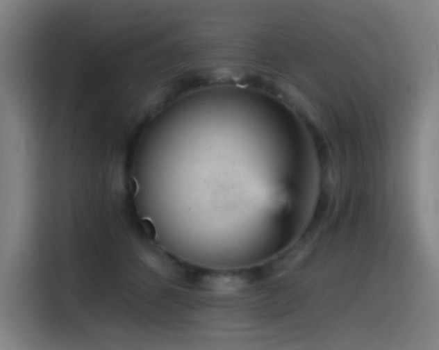 X0000114430512200910161338