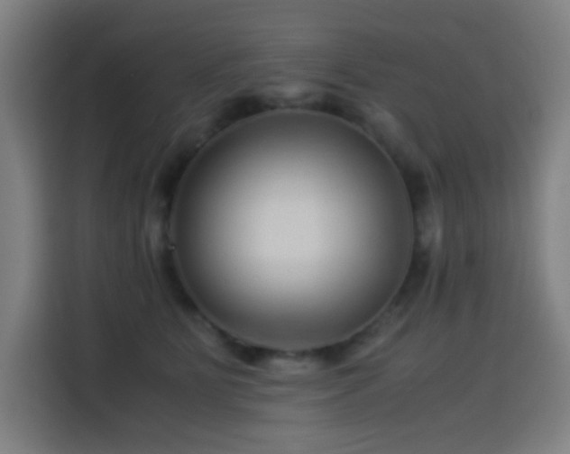 X0000114430515200910161338