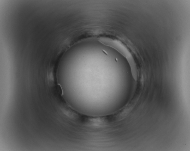 X0000114430516200910161338