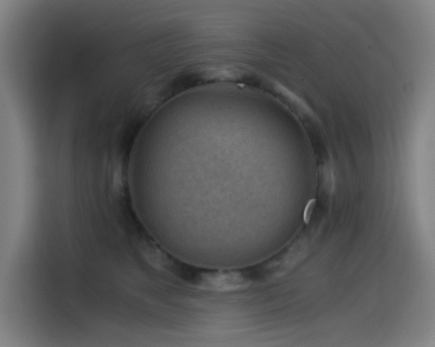 X0000114430517200910161338