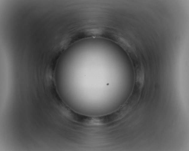 X0000114430518200910161338