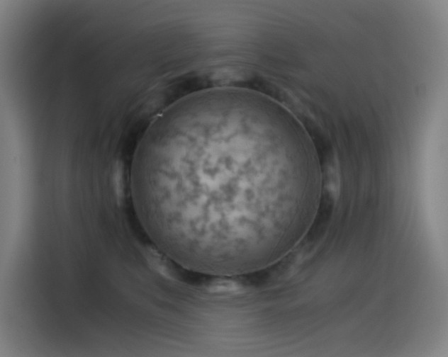 X0000114430519200910161338