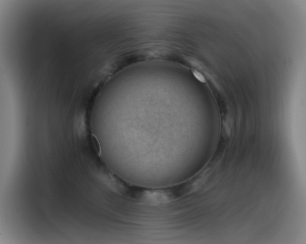 X0000114430520200910161338