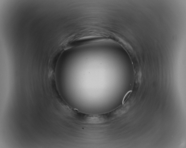 X0000114430521200910161338