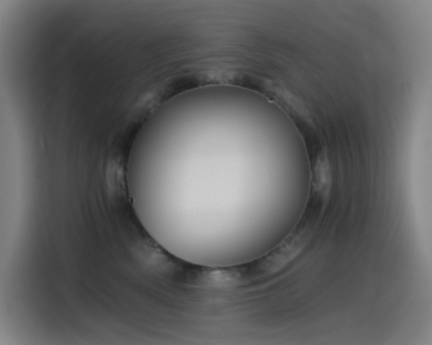 X0000114430522200910161338