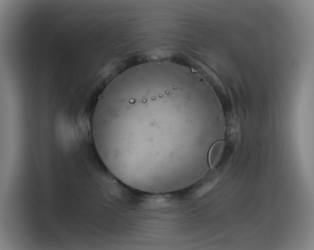 X0000114430523200910161337