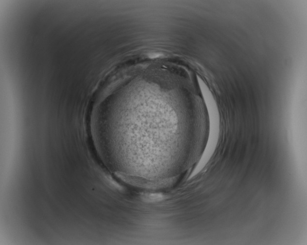 X0000114430524200910161337
